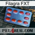 Filagra FXT 06